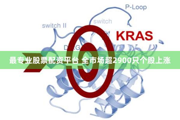 最专业股票配资平台 全市场超2900只个股上涨