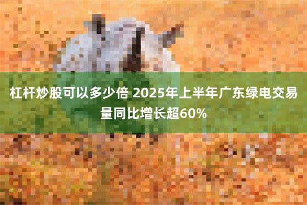 杠杆炒股可以多少倍 2025年上半年广东绿电交易量同比增长超60%