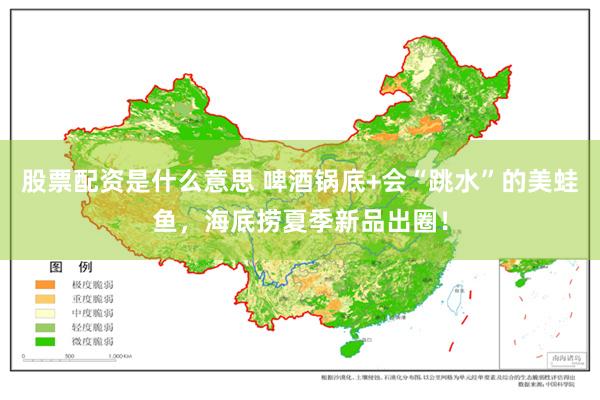 股票配资是什么意思 啤酒锅底+会“跳水”的美蛙鱼，海底捞夏季新品出圈！