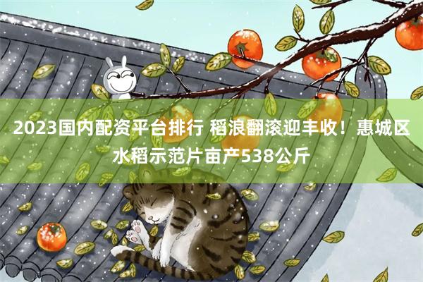 2023国内配资平台排行 稻浪翻滚迎丰收！惠城区水稻示范片亩产538公斤