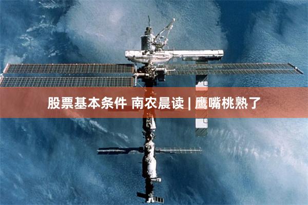 股票基本条件 南农晨读 | 鹰嘴桃熟了