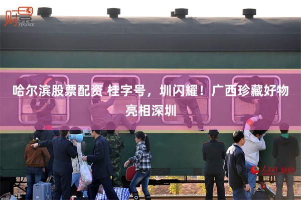 哈尔滨股票配资 桂字号，圳闪耀！广西珍藏好物亮相深圳