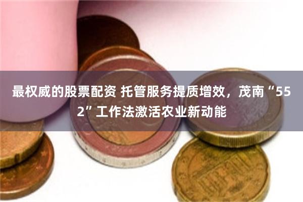最权威的股票配资 托管服务提质增效，茂南“552”工作法激活农业新动能