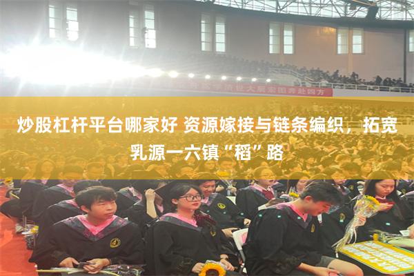 炒股杠杆平台哪家好 资源嫁接与链条编织，拓宽乳源一六镇“稻”路