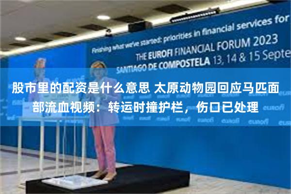 股市里的配资是什么意思 太原动物园回应马匹面部流血视频：转运时撞护栏，伤口已处理