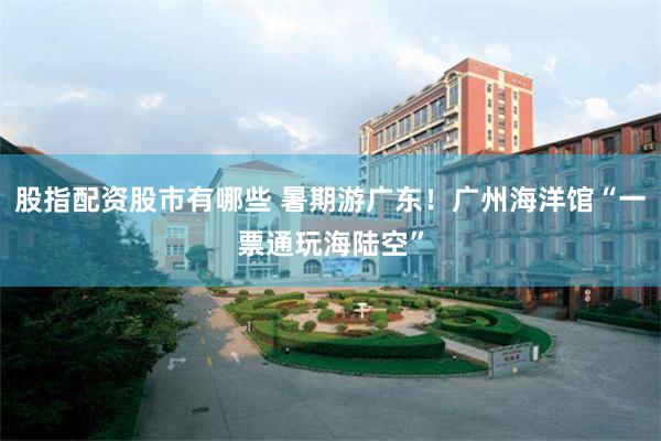 股指配资股市有哪些 暑期游广东！广州海洋馆“一票通玩海陆空”