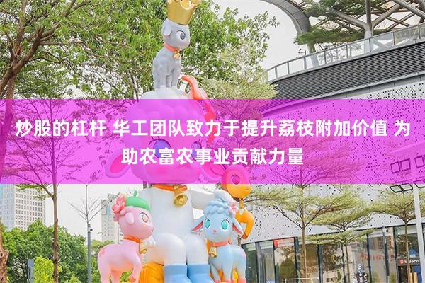 炒股的杠杆 华工团队致力于提升荔枝附加价值 为助农富农事业贡献力量