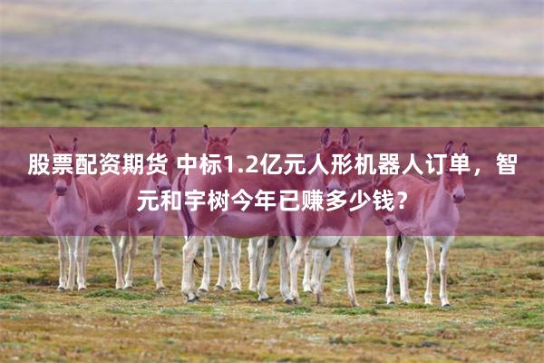股票配资期货 中标1.2亿元人形机器人订单，智元和宇树今年已赚多少钱？