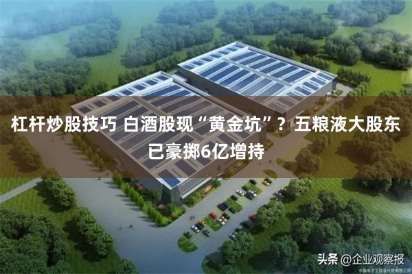 杠杆炒股技巧 白酒股现“黄金坑”？五粮液大股东已豪掷6亿增持