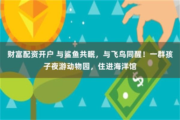 财富配资开户 与鲨鱼共眠，与飞鸟同醒！一群孩子夜游动物园，住进海洋馆