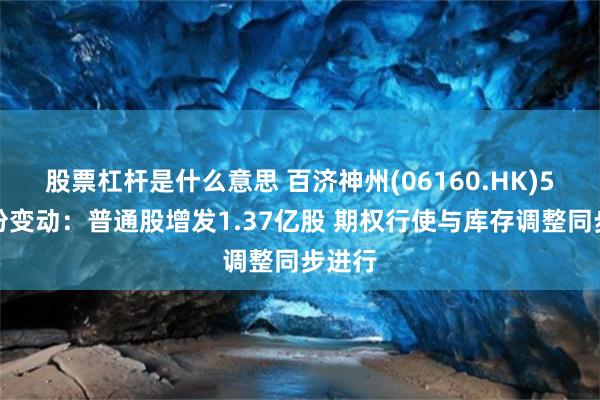 股票杠杆是什么意思 百济神州(06160.HK)5月股份变动：普通股增发1.37亿股 期权行使与库存调整同步进行