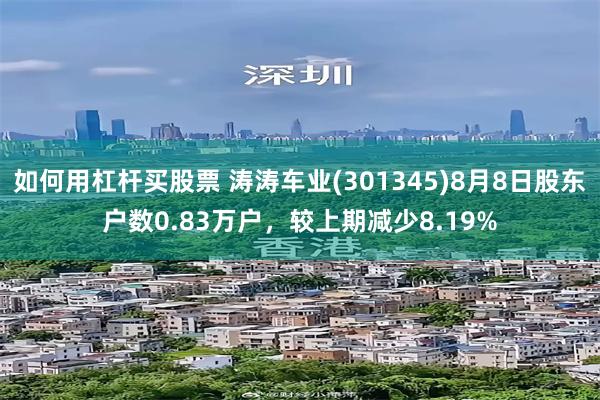 如何用杠杆买股票 涛涛车业(301345)8月8日股东户数0.83万户，较上期减少8.19%