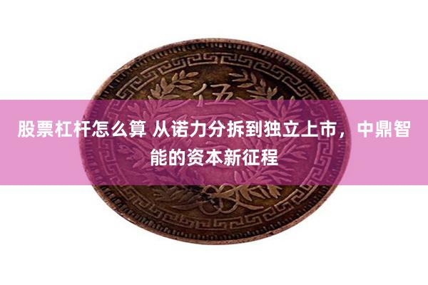股票杠杆怎么算 从诺力分拆到独立上市，中鼎智能的资本新征程