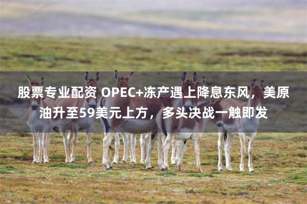 股票专业配资 OPEC+冻产遇上降息东风，美原油升至59美元上方，多头决战一触即发