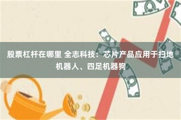 股票杠杆在哪里 全志科技：芯片产品应用于扫地机器人、四足机器狗