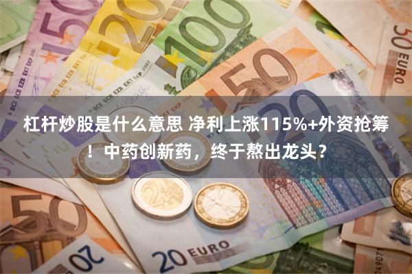 杠杆炒股是什么意思 净利上涨115%+外资抢筹！中药创新药，终于熬出龙头？