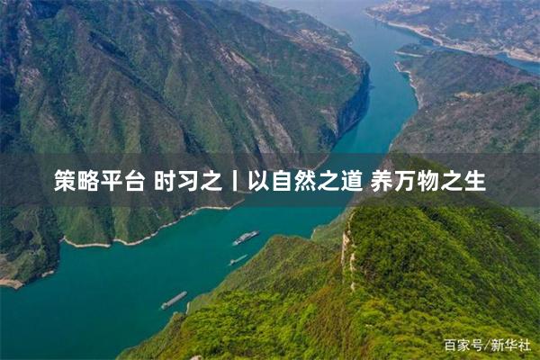 策略平台 时习之丨以自然之道 养万物之生