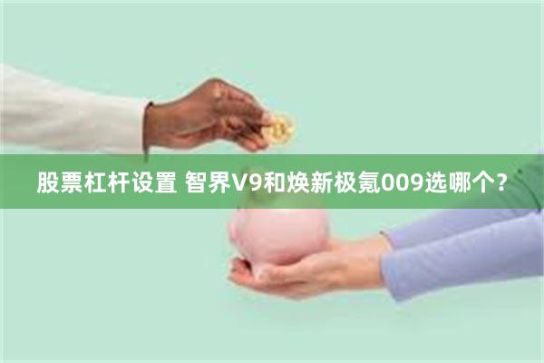 股票杠杆设置 智界V9和焕新极氪009选哪个？
