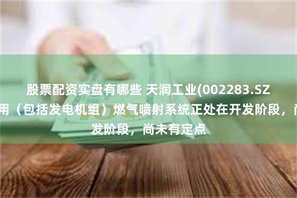 股票配资实盘有哪些 天润工业(002283.SZ)：非道路用（包括发电机组）燃气喷射系统正处在开发阶段，尚未有定点