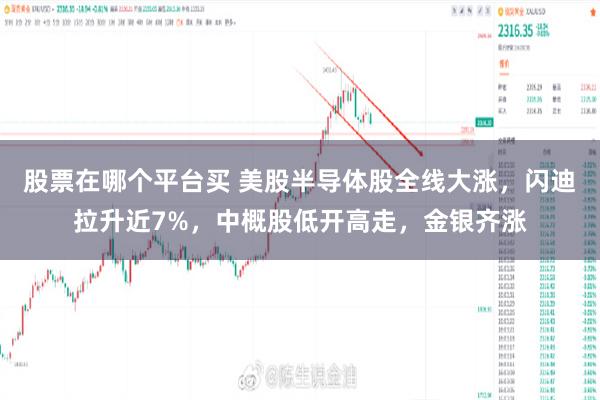 股票在哪个平台买 美股半导体股全线大涨，闪迪拉升近7%，中概股低开高走，金银齐涨