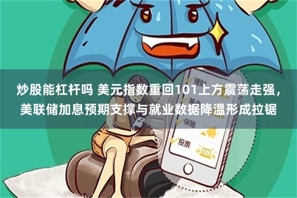 炒股能杠杆吗 美元指数重回101上方震荡走强,美联储加息预期支撑与就业数据降温形成拉锯