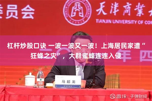 杠杆炒股口诀 一波一波又一波！上海居民家遭“狂蜂之灾”，大群蜜蜂连连入侵
