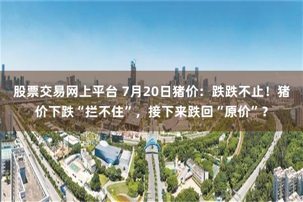 股票交易网上平台 7月20日猪价：跌跌不止！猪价下跌“拦不住”，接下来跌回“原价”？