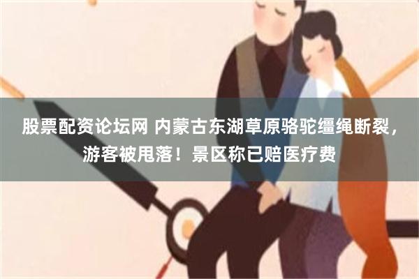 股票配资论坛网 内蒙古东湖草原骆驼缰绳断裂，游客被甩落！景区称已赔医疗费
