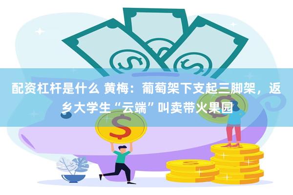 配资杠杆是什么 黄梅：葡萄架下支起三脚架，返乡大学生“云端”叫卖带火果园