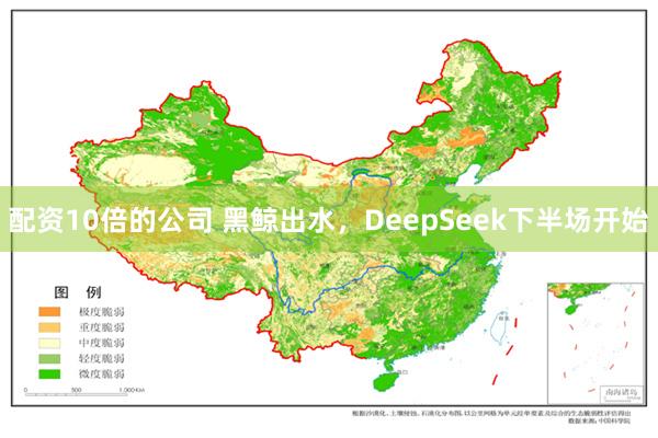 配资10倍的公司 黑鲸出水,DeepSeek下半场开始