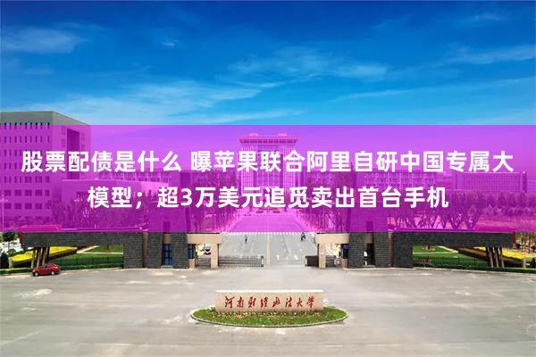 股票配债是什么 曝苹果联合阿里自研中国专属大模型;超3万美元追觅卖出首台手机