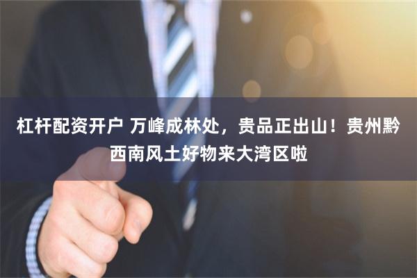 杠杆配资开户 万峰成林处，贵品正出山！贵州黔西南风土好物来大湾区啦