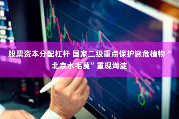 股票资本分配杠杆 国家二级重点保护濒危植物“北京水毛茛”重现海淀