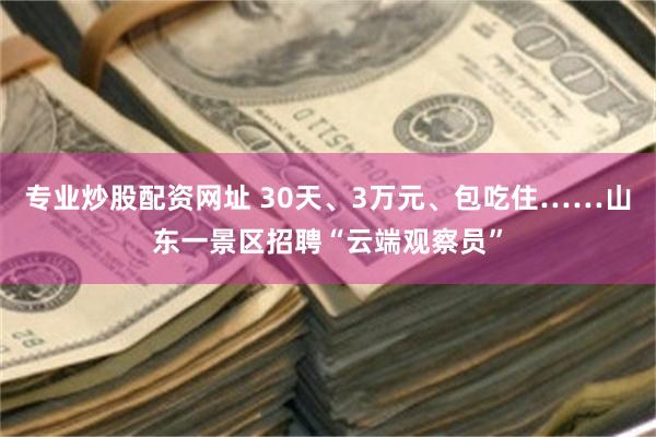 专业炒股配资网址 30天、3万元、包吃住……山东一景区招聘“云端观察员”