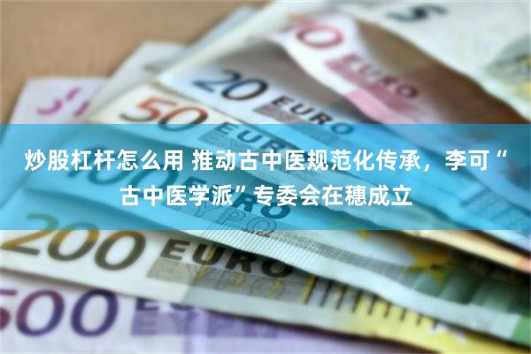 炒股杠杆怎么用 推动古中医规范化传承，李可“古中医学派”专委会在穗成立